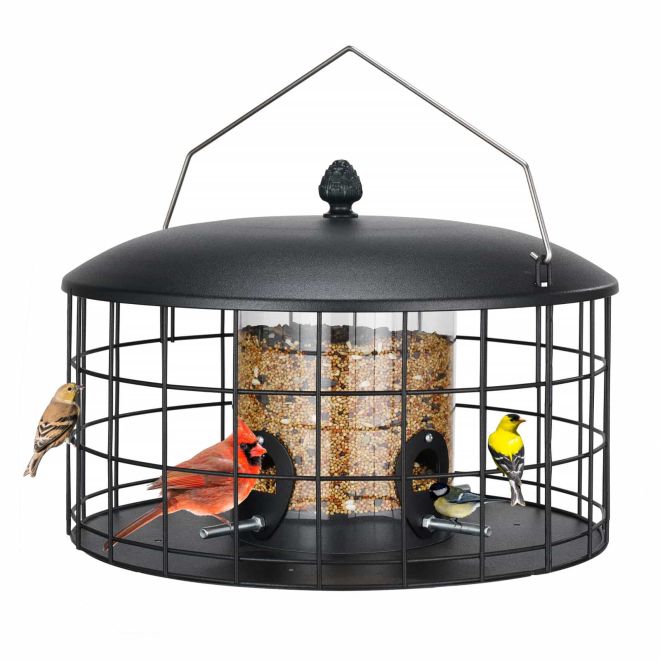 Veehoo Squirrel-Proof Metal Bird Feeder with Caged Design New Arrivals image2