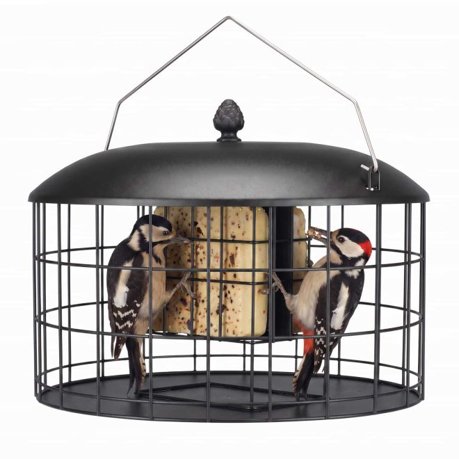 Veehoo Double Compartment Suet Feeder with Wider Platform New Arrivals image2
