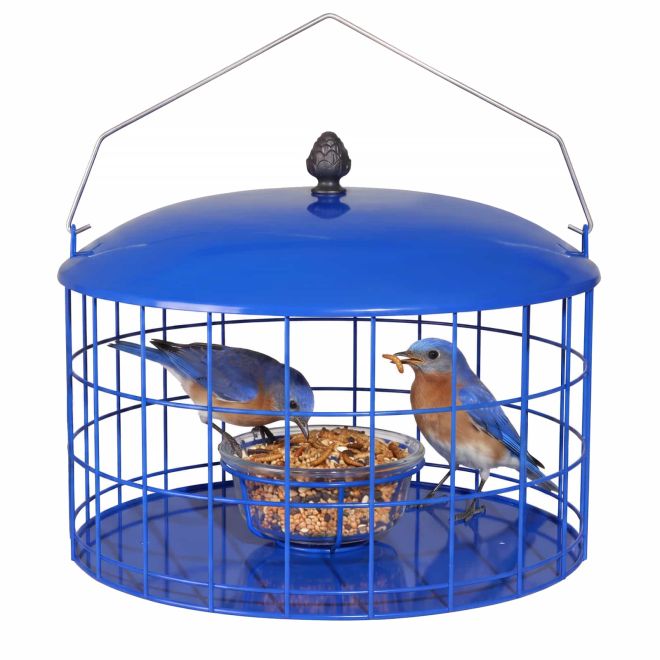 Veehoo Caged Bluebird Feeder with Squirrel-Proof Metal Design Bird image2