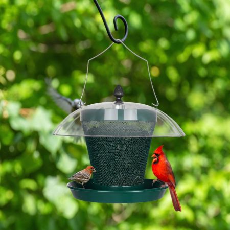 Veehoo Wild Bird Feeder with Weatherproof Dome image1