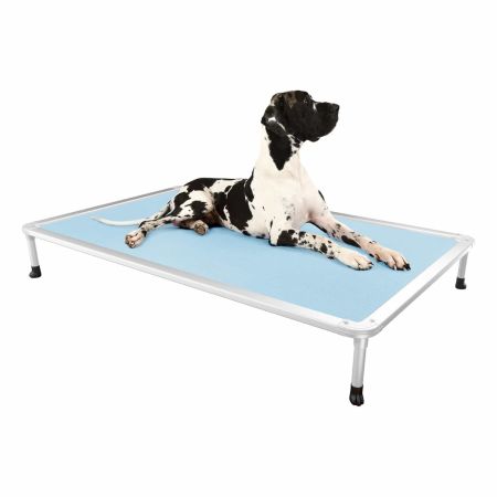 Veehoo Chewproof Dog Elevated Bed-Silver Aluminum Frame Sky Blue Elevated Cooling Beds image1 Veehoo Chewproof Dog Elevated Bed-Silver Aluminum Frame Sky Blue Elevated Cooling Beds image1