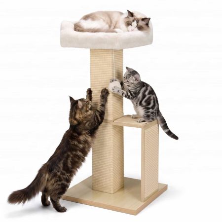 Veehoo Cat Window Perch with Sisal Scratching Posts Beige New Arrivals image1