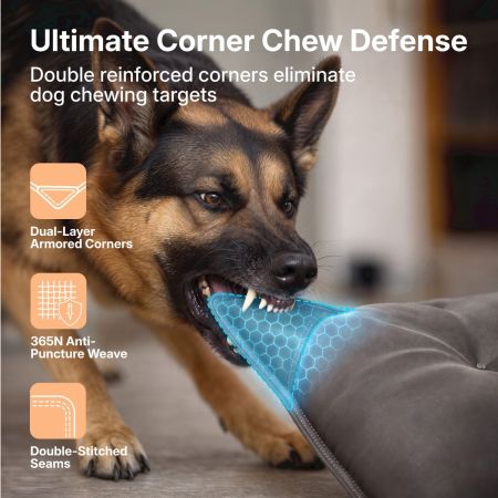 Veehoo Chew-Resistant Armored Dog Crate Pad New Arrivals image3 Veehoo Chew-Resistant Armored Dog Crate Pad New Arrivals image3