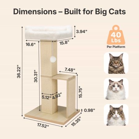 Veehoo Cat Window Perch with Sisal Scratching Posts Beige New Arrivals image3