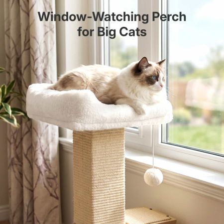 Veehoo Cat Window Perch with Sisal Scratching Posts Beige New Arrivals image8