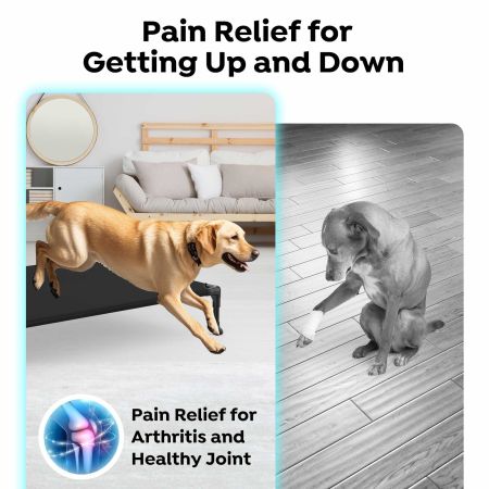 Veehoo Cooling Elevated Dog Bed with No-slip Rubber Feet Black Sales image8