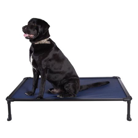 Veehoo Chewproof Dog Elevated Bed-Black Aluminum Frame Blue Sales image1 Veehoo Chewproof Dog Elevated Bed-Black Aluminum Frame Blue Sales image1