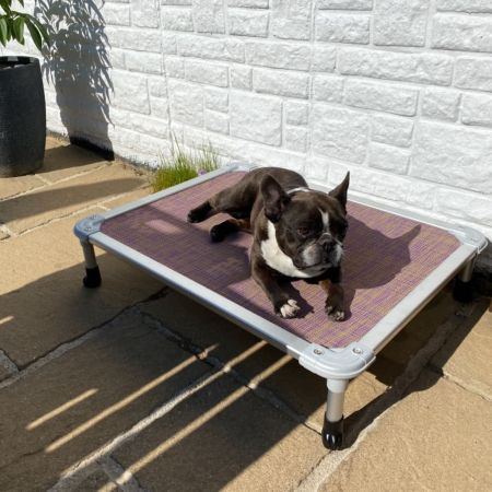 Veehoo Chewproof Dog Elevated Bed-Silver Aluminum Frame Purple Elevated Cooling Beds image6