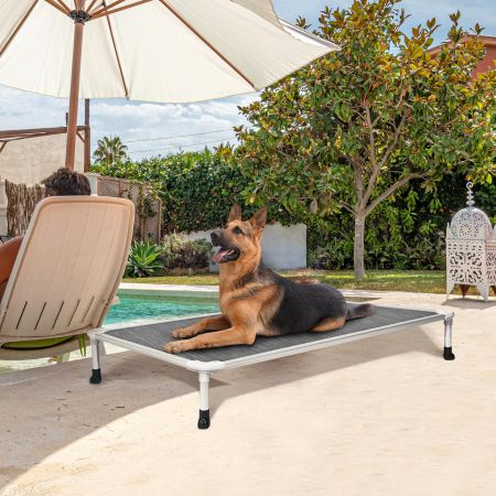 Veehoo Chewproof Dog Elevated Bed-Silver Aluminum Frame Silver Sales image9