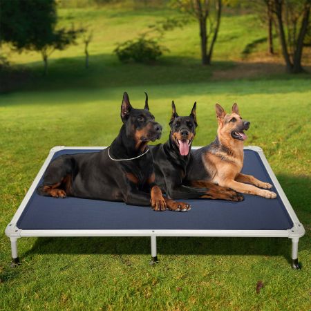 Veehoo Chewproof Dog Elevated Bed-Silver Aluminum Frame Blue Elevated Cooling Beds image10 Veehoo Chewproof Dog Elevated Bed-Silver Aluminum Frame Blue Elevated Cooling Beds image10