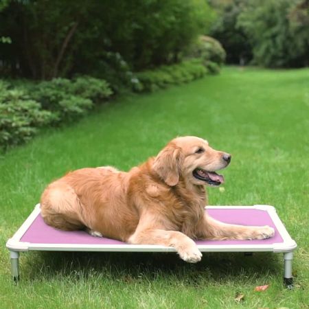 Veehoo Chewproof Dog Elevated Bed-Silver Aluminum Frame Pink Elevated Cooling Beds image6 Veehoo Chewproof Dog Elevated Bed-Silver Aluminum Frame Pink Elevated Cooling Beds image6