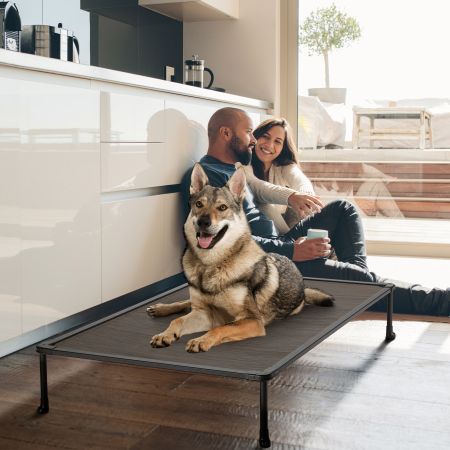 Veehoo Chewproof Dog Bed - Black Metal Frame Brown Elevated Beds image8