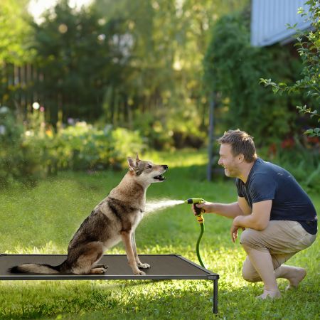 Veehoo Chewproof Dog Bed - Black Metal Frame Brown Elevated Beds image9