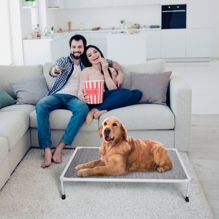 Veehoo Chewproof Elevated Dog Bed-Silver Metal Frame Silver Elevated Beds image9
