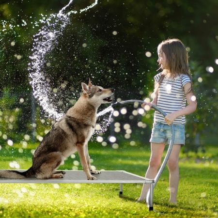 Veehoo Chewproof Elevated Dog Bed-Silver Metal Frame Silver Elevated Beds image10