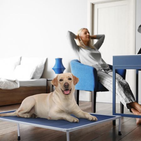 Veehoo Chewproof Elevated Dog Bed-Silver Metal Frame Blue Elevated Beds image9 Veehoo Chewproof Elevated Dog Bed-Silver Metal Frame Blue Elevated Beds image9