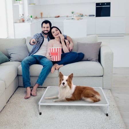 Veehoo Chewproof Elevated Dog Bed-Silver Metal Frame Gray Elevated Beds image8