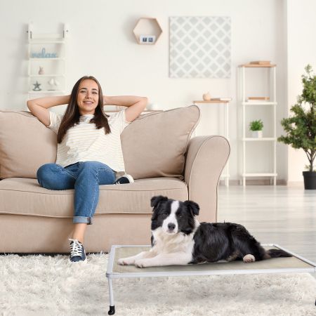 Veehoo Chewproof Elevated Dog Bed-Silver Metal Frame Beige Elevated Beds image8