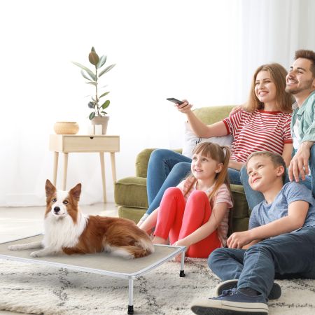 Veehoo Chewproof Elevated Dog Bed-Silver Metal Frame Beige Elevated Beds image9