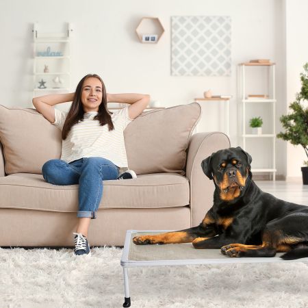 Veehoo Chewproof Elevated Dog Bed-Silver Metal Frame Beige Elevated Beds image9 Veehoo Chewproof Elevated Dog Bed-Silver Metal Frame Beige Elevated Beds image9