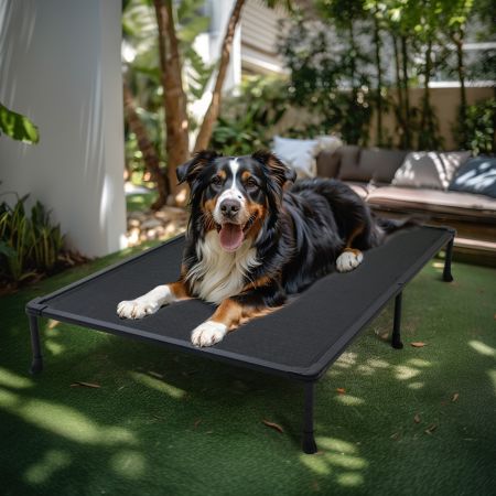 Veehoo Chewproof Elevated Dog Bed-Black Metal Frame Black Elevated Beds image7 Veehoo Chewproof Elevated Dog Bed-Black Metal Frame Black Elevated Beds image7