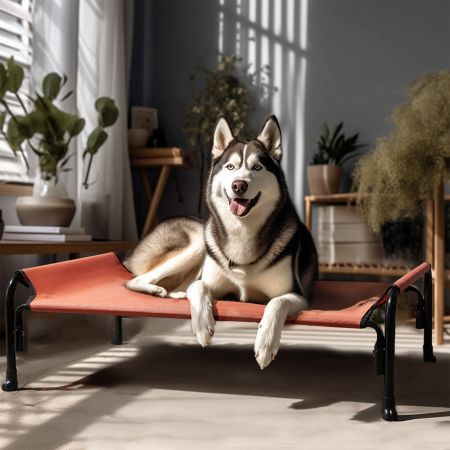 Veehoo Elevated Outdoor Raised Dog Bed Red Sales image10