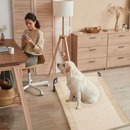 Veehoo Elevated Outdoor Raised Dog Bed Beige Sales image13