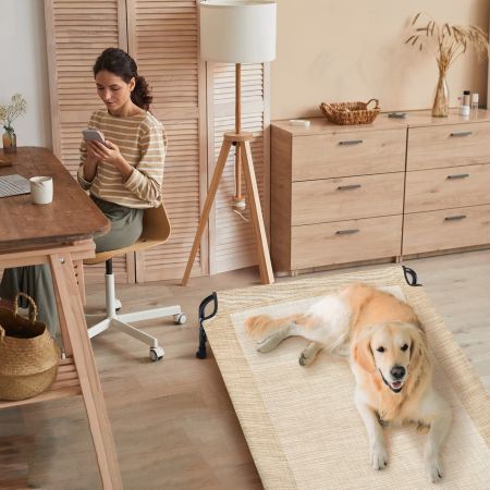 Veehoo Elevated Outdoor Raised Dog Bed Beige Sales image13