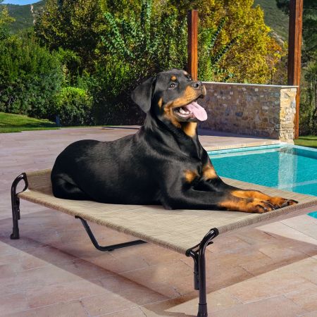 Veehoo Elevated Outdoor Raised Dog Bed Beige Sales image10 Veehoo Elevated Outdoor Raised Dog Bed Beige Sales image10