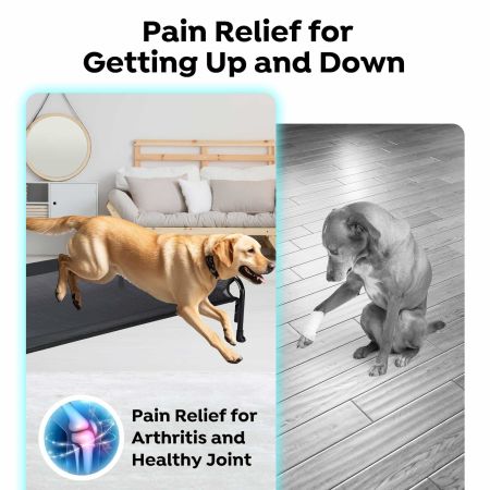 Veehoo Elevated Outdoor Raised Dog Bed Beige Sales image8 Veehoo Elevated Outdoor Raised Dog Bed Beige Sales image8