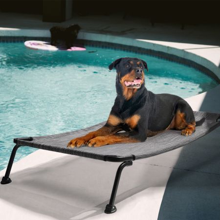 Veehoo Curved Elevated Dog Bed Silver Elevated Beds image11 Veehoo Curved Elevated Dog Bed Silver Elevated Beds image11