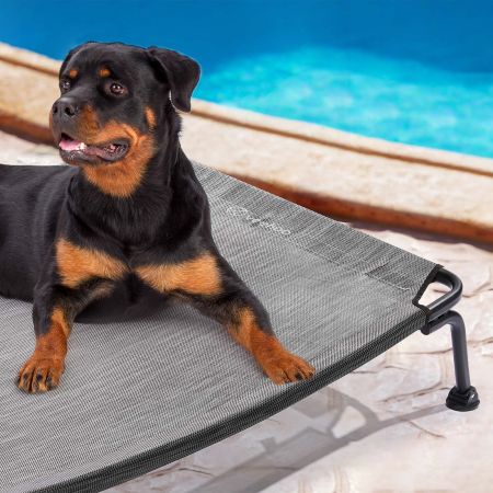 Veehoo Curved Elevated Dog Bed Silver Elevated Beds image15 Veehoo Curved Elevated Dog Bed Silver Elevated Beds image15