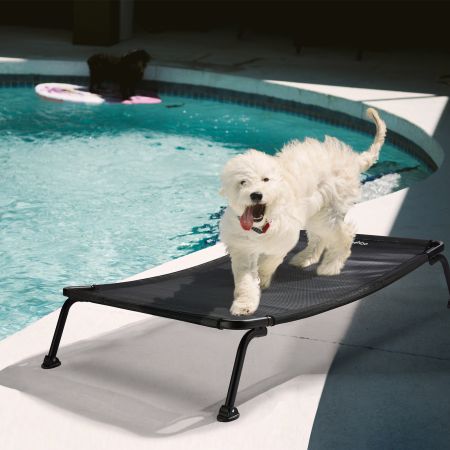 Veehoo Curved Elevated Dog Bed Black Elevated Beds image15
