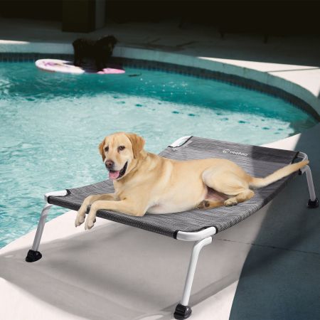Veehoo Cooling Curved Elevated Dog Bed Silver Sales image11 Veehoo Cooling Curved Elevated Dog Bed Silver Sales image11