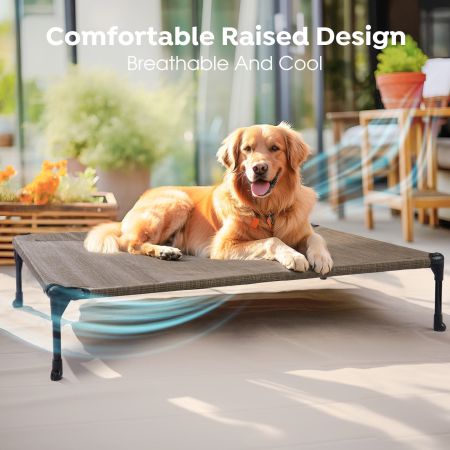Veehoo Brown Elevated Dog Bed with Bolster Mat