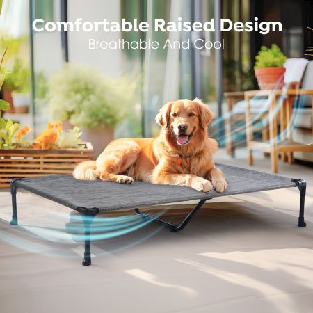 Veehoo Elevated Dog Bed with Bolster Mat Silver Elevated 2-in-1 Seasonal Beds image4 Veehoo Elevated Dog Bed with Bolster Mat Silver Elevated 2-in-1 Seasonal Beds image4