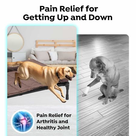 Veehoo Elevated Dog Bed with Bolster Mat Brown Sales image10 Veehoo Elevated Dog Bed with Bolster Mat Brown Sales image10