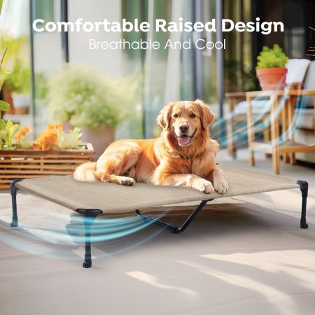 Veehoo Elevated Dog Bed with Bolster Mat Beige Sales image4