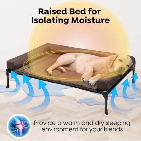 Veehoo Elevated Dog Bed with Bolster Mat Beige Sales image9