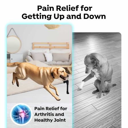 Veehoo Elevated Dog Bed with Cozy Pillow White Sales image7 Veehoo Elevated Dog Bed with Cozy Pillow White Sales image7