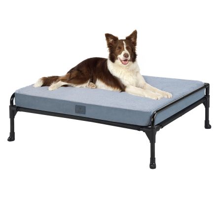 Veehoo Elevated Dog Bed with Removable Dog Pad Black Sales image1 Veehoo Elevated Dog Bed with Removable Dog Pad Black Sales image1