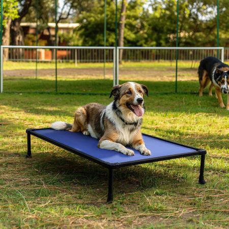 Veehoo Anti-chew Training Bed Blue Elevated Beds image8