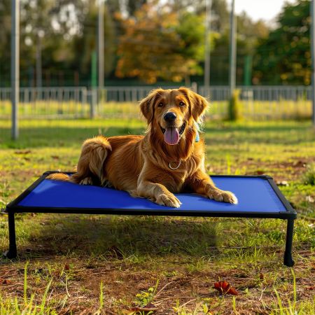 Veehoo Anti-chew Training Bed Blue Elevated Beds image7