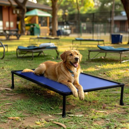 Veehoo Anti-chew Training Bed Blue Elevated Beds image8