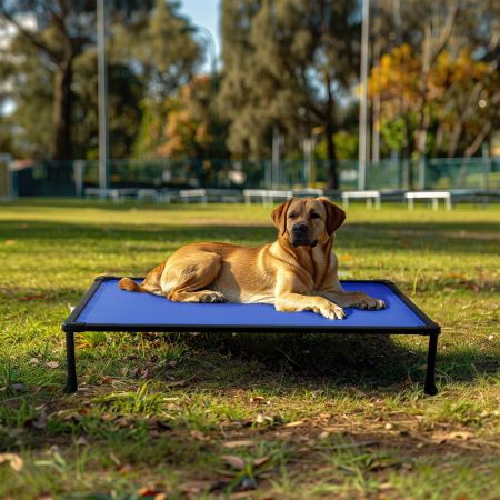 Veehoo Anti-chew Training Bed Blue Elevated Beds image7