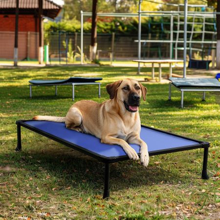 Veehoo Anti-chew Training Bed Blue Elevated Beds image8