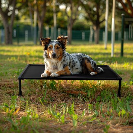 Veehoo Anti-chew Training Bed Black Elevated Beds image7 Veehoo Anti-chew Training Bed Black Elevated Beds image7