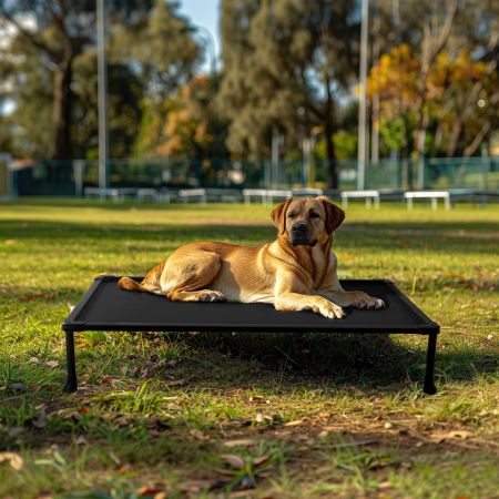 Veehoo Anti-chew Training Bed Black Elevated Beds image7 Veehoo Anti-chew Training Bed Black Elevated Beds image7