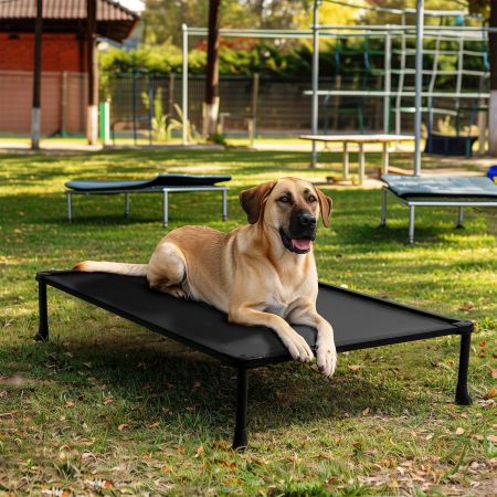 Veehoo Anti-chew Training Bed Black Elevated Beds image8 Veehoo Anti-chew Training Bed Black Elevated Beds image8