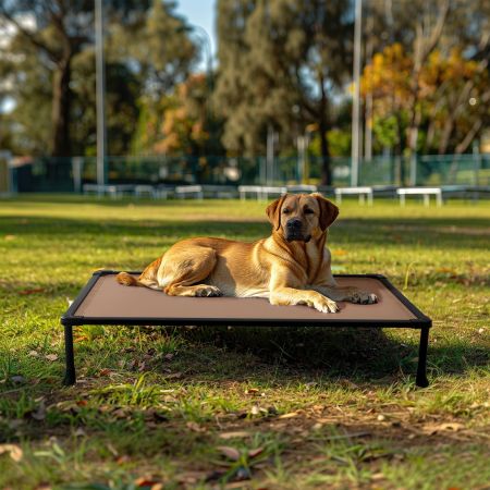 Veehoo Anti-chew Training Bed Brown Chew-Proof Beds image7 Veehoo Anti-chew Training Bed Brown Chew-Proof Beds image7